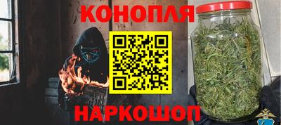 СК Донецк