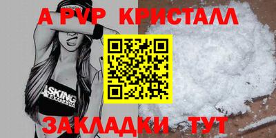 СК Донецк